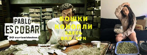 эйфоретик Гусь-Хрустальный