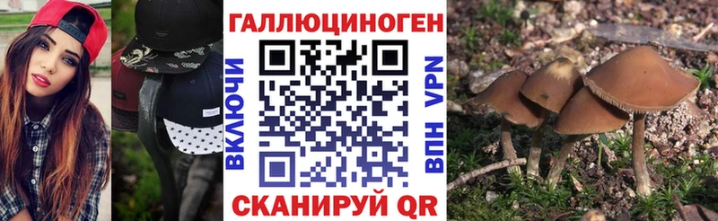 Галлюциногенные грибы мицелий как найти наркотики ОМГ ОМГ маркетплейс Курлово